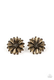 Daisy Dilemma - Brass Post Earring