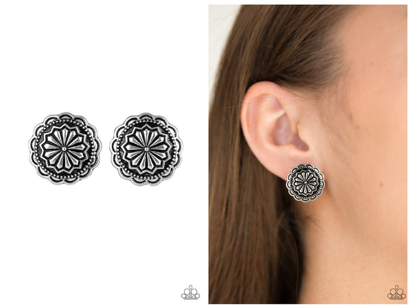 Durango Desert - Silver Post Earring